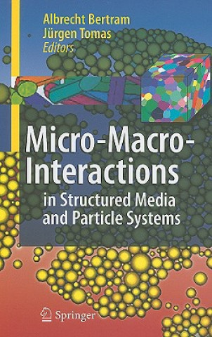 Książka Micro-Macro-Interactions Albrecht Bertram