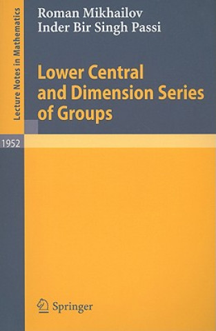 Carte Lower Central and Dimension Series of Groups Roman Mikhailov