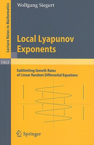 Kniha Local Lyapunov Exponents Wolfgang Siegert