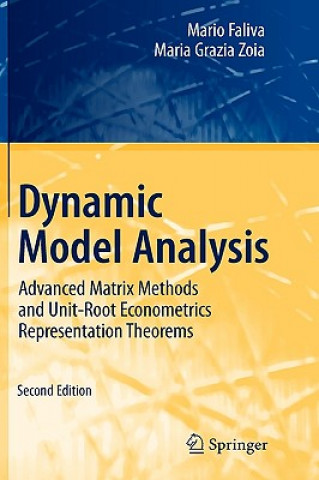 Carte Dynamic Model Analysis Mario Faliva