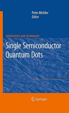 Knjiga Single Semiconductor Quantum Dots Peter Michler