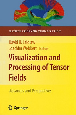 Książka Visualization and Processing of Tensor Fields David H. Laidlaw