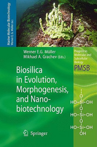 Kniha Biosilica in Evolution, Morphogenesis, and Nanobiotechnology Werner E.G. Müller