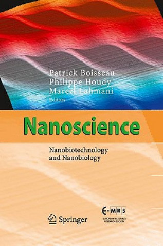 Książka Nanoscience Patrick Boisseau