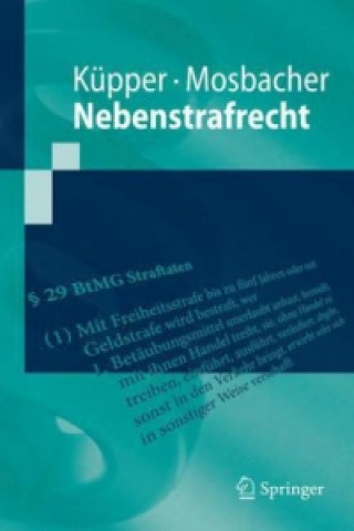 Book Nebenstrafrecht Georg Küpper