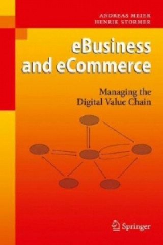 Knjiga eBusiness & Ecommerce Andreas Meier