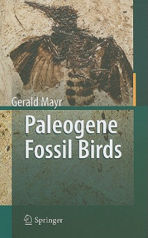Carte Paleogene Fossil Birds Gerald Mayr