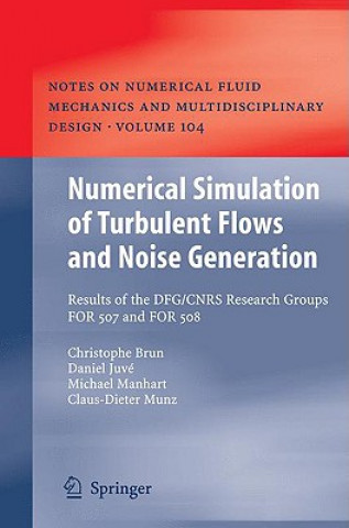 Carte Numerical Simulation of Turbulent Flows and Noise Generation Christophe Brun