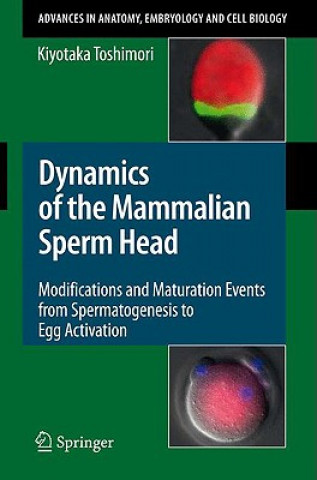Könyv Dynamics of the Mammalian Sperm Head Kiyotaka Toshimori