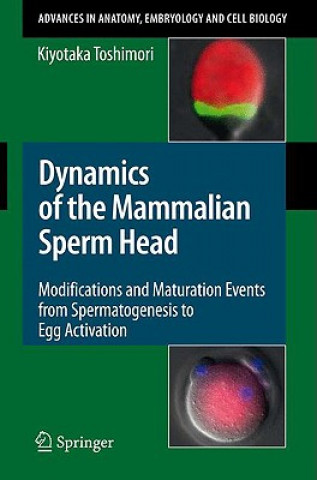 Kniha Dynamics of the Mammalian Sperm Head Kiyotaka Toshimori