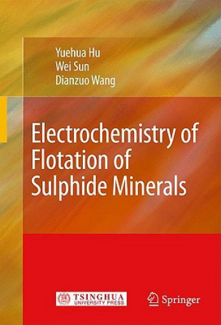 Kniha Electrochemistry of Flotation of Sulphide Minerals Yuehua Hu