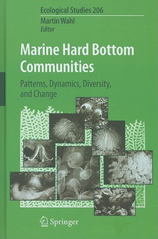 Kniha Marine Hard Bottom Communities Martin Wahl