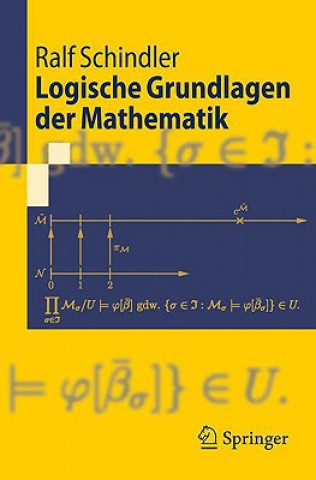 Carte Logische Grundlagen der Mathematik Ralf-Dieter Schindler