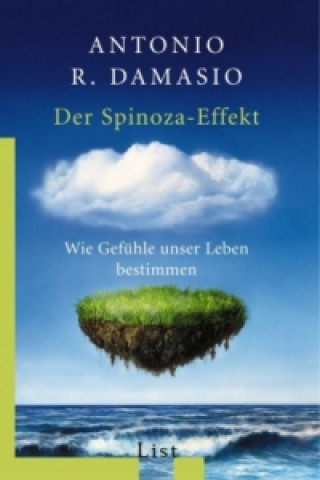 Könyv Der Spinoza-Effekt Antonio R. Damasio