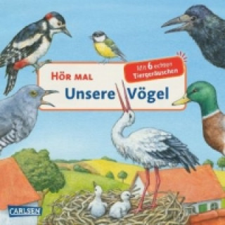 Książka Hör mal (Soundbuch): Unsere Vögel Anne Möller