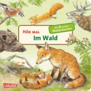 Könyv Hör mal (Soundbuch): Im Wald Anne Möller