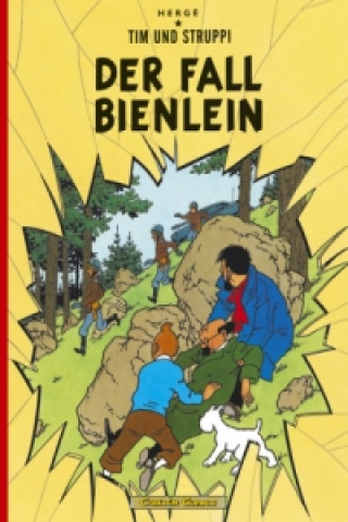Kniha Fall Bienlein ergé