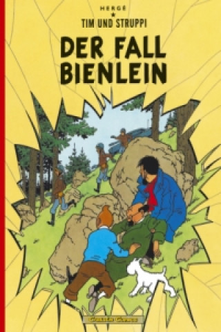 Buch Fall Bienlein ergé