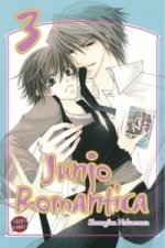 Carte Junjo Romantica 3 Shungiku Nakamura