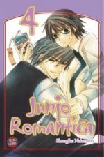 Carte Junjo Romantica 4 Shungiku Nakamura