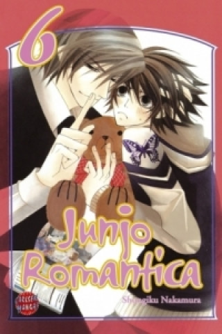 Kniha Junjo Romantica 6 Shungiku Nakamura