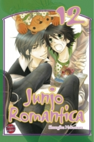 Kniha Junjo Romantica 12 Shungiku Nakamura