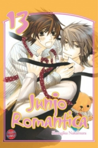 Kniha Junjo Romantica 13 Shungiku Nakamura