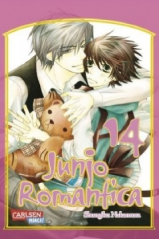 Książka Junjo Romantica 14 Shungiku Nakamura