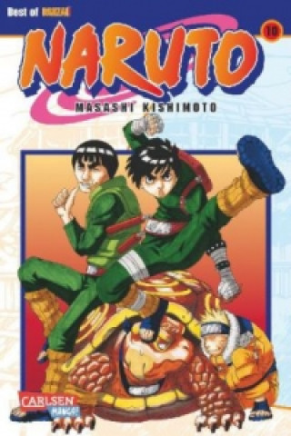 Kniha Naruto 10 Masashi Kishimoto
