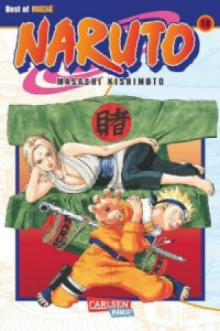 Kniha Naruto 18 Masashi Kishimoto