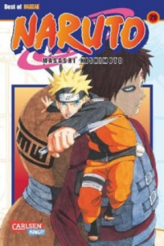 Kniha Naruto 29 Masashi Kishimoto