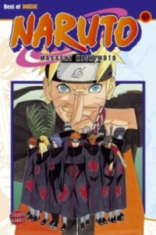 Kniha Naruto 41 Masashi Kishimoto