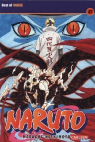 Knjiga Naruto 47 Masashi Kishimoto