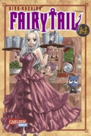 Kniha Fairy Tail. Bd.14 Hiro Mashima