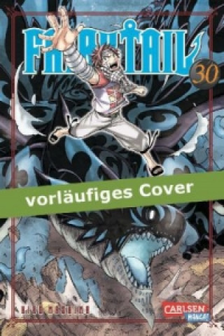 Knjiga Fairy Tail. Bd.30 Hiro Mashima