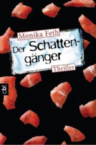 Könyv Der Schattengänger Monika Feth