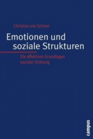 Buch Emotionen und soziale Strukturen Christian von Scheve