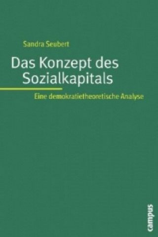 Kniha Das Konzept des Sozialkapitals Sandra Seubert