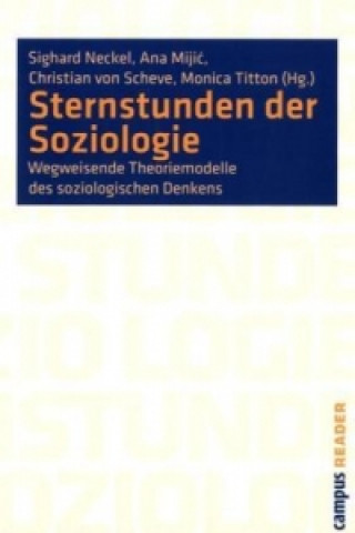 Carte Sternstunden der Soziologie Sighard Neckel