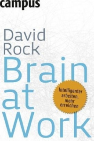 Kniha Brain at Work David Rock