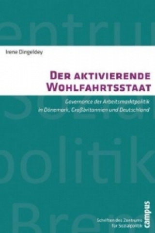 Kniha Der aktivierende Wohlfahrtsstaat Irene Dingeldey