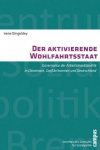 Buch Der aktivierende Wohlfahrtsstaat Irene Dingeldey