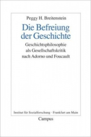 Buch Die Befreiung der Geschichte Peggy H. Breitenstein