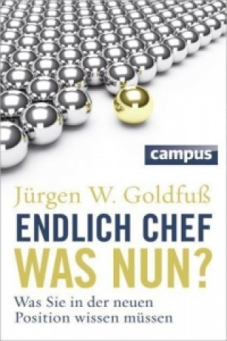 Kniha Endlich Chef - was nun? Jürgen W. Goldfuß