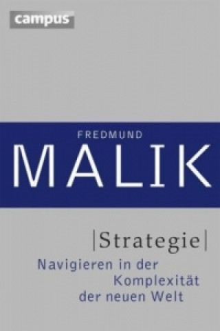 Libro Strategie Fredmund Malik