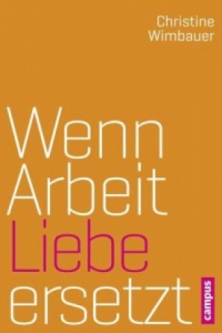 Könyv Wenn Arbeit Liebe ersetzt Christine Wimbauer