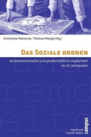 Kniha Das Soziale ordnen Christiane Reinecke