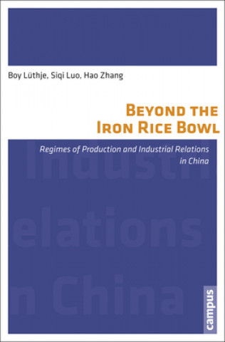 Kniha Beyond the Iron Rice Bowl Boy Lüthje
