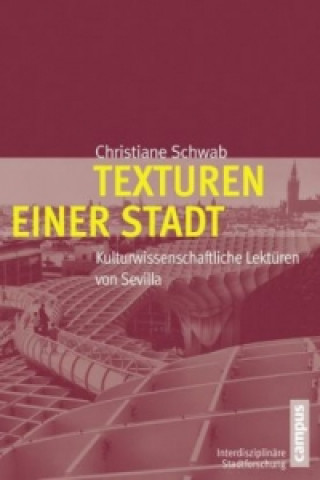 Kniha Texturen einer Stadt Christiane Schwab