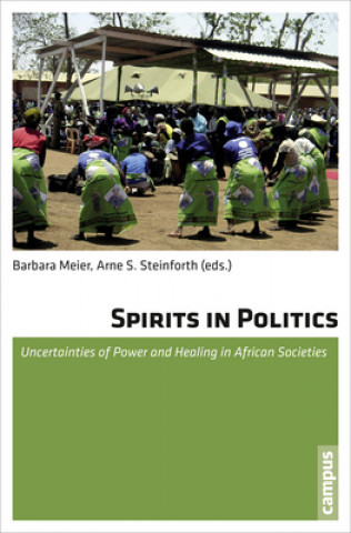 Kniha Spirits in Politics Barbara Meier